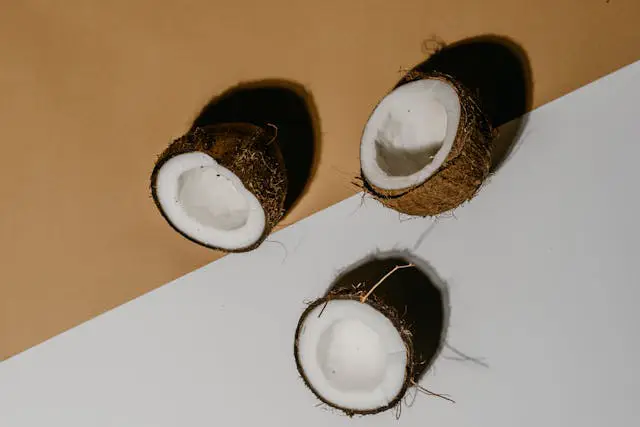 Export Quality Copra