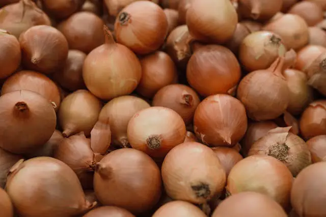 Fresh Red Onions Export